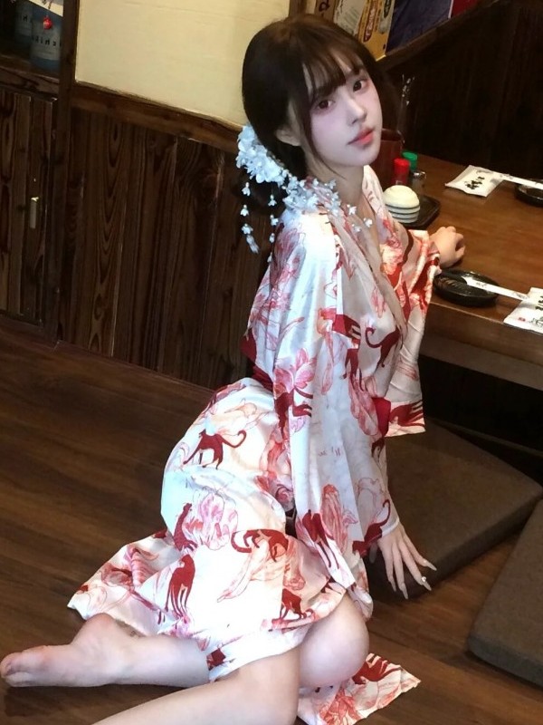 New Chinese Style Sleepwear Ha - Photography Lighting Studio avis et prix