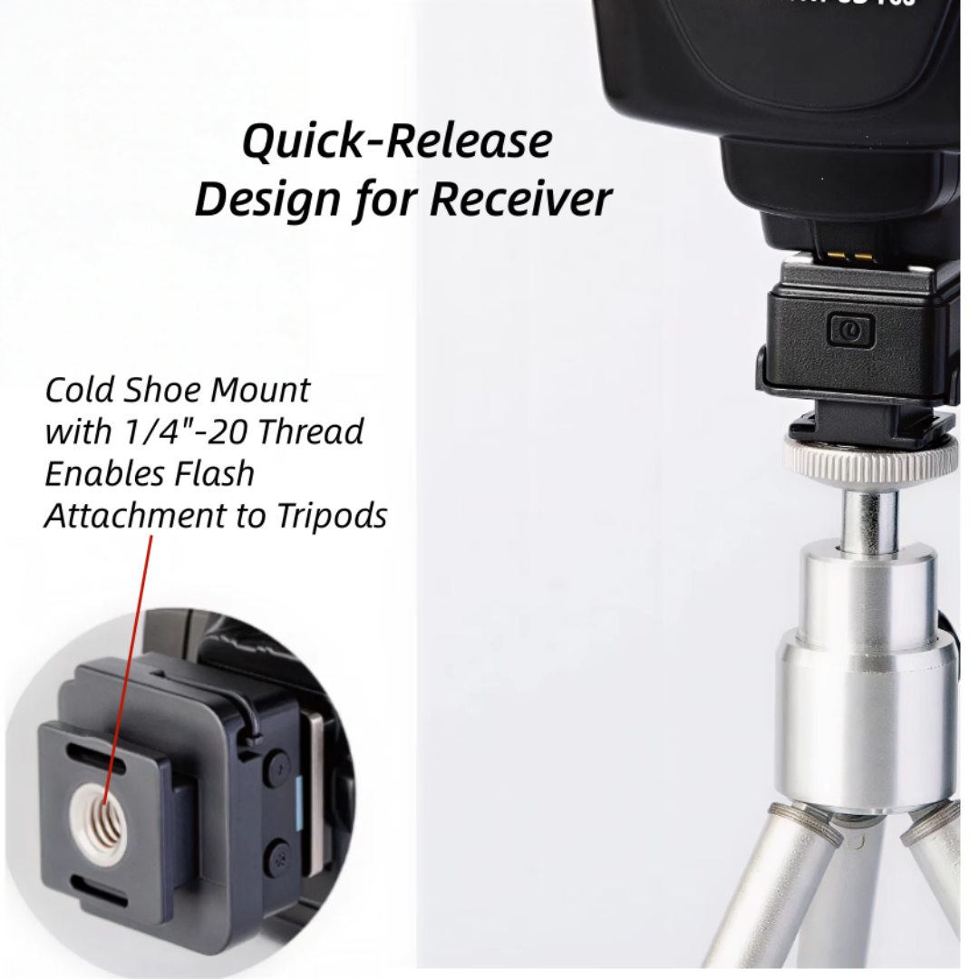Universal FlashQ T2 Wireless F - Trigger Receiver Set avis et prix