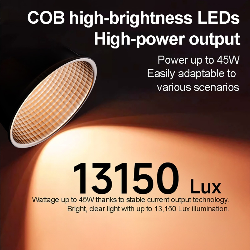 60W RGB Video Light Portable L - Photography Lighting Product avis et prix